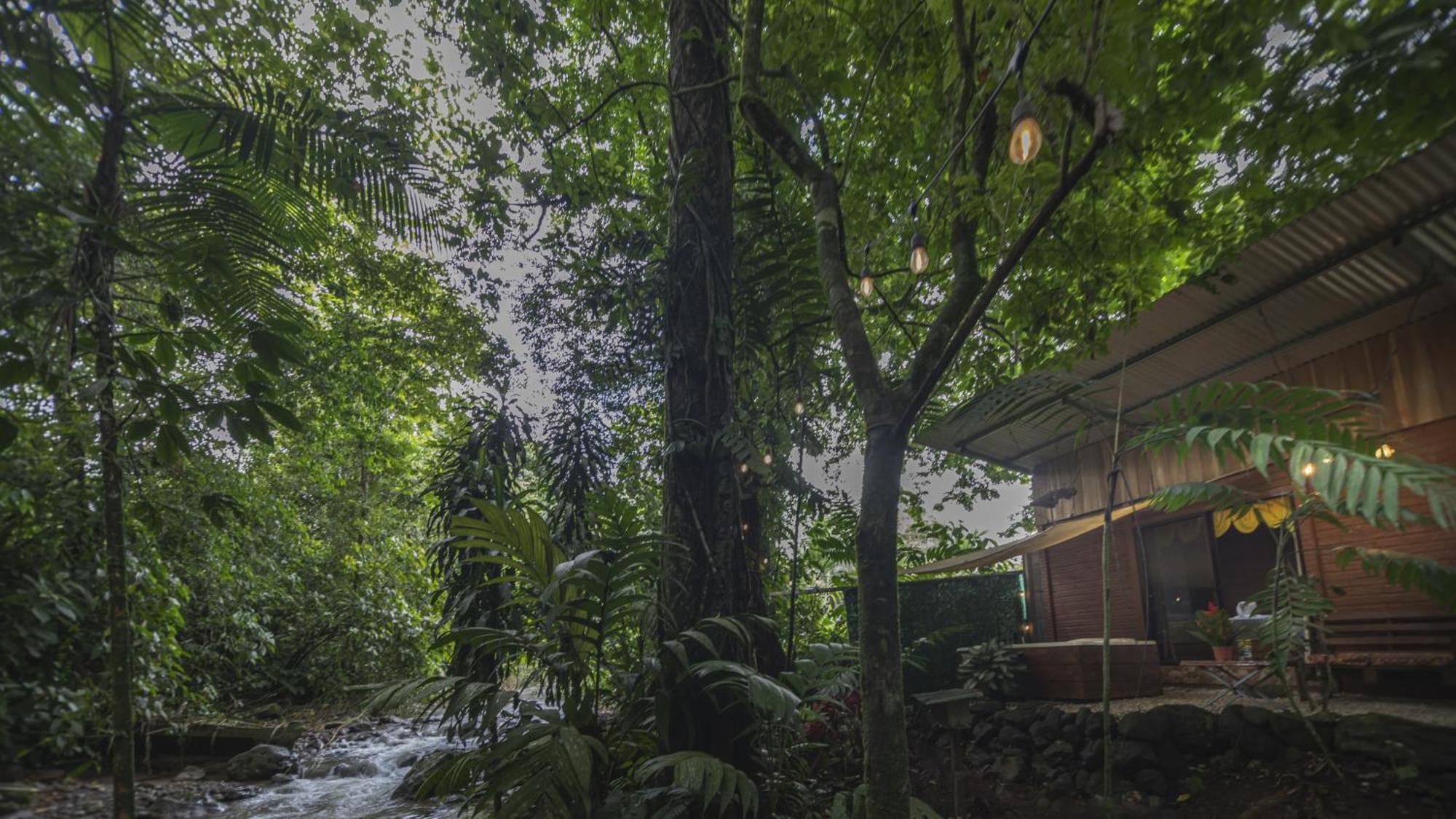 Apartmán The Frog House La Fortuna Exteriér fotografie