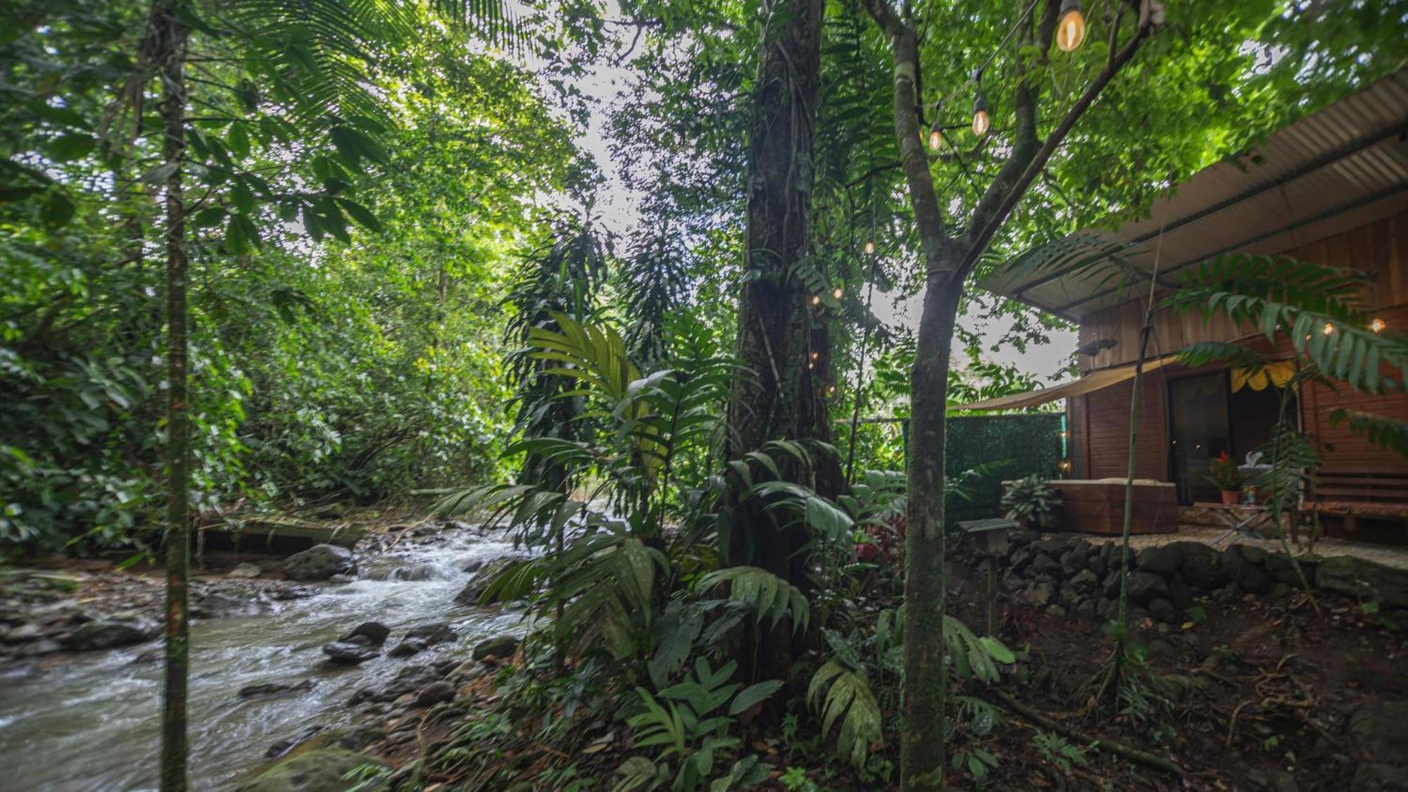 Apartmán The Frog House La Fortuna Exteriér fotografie
