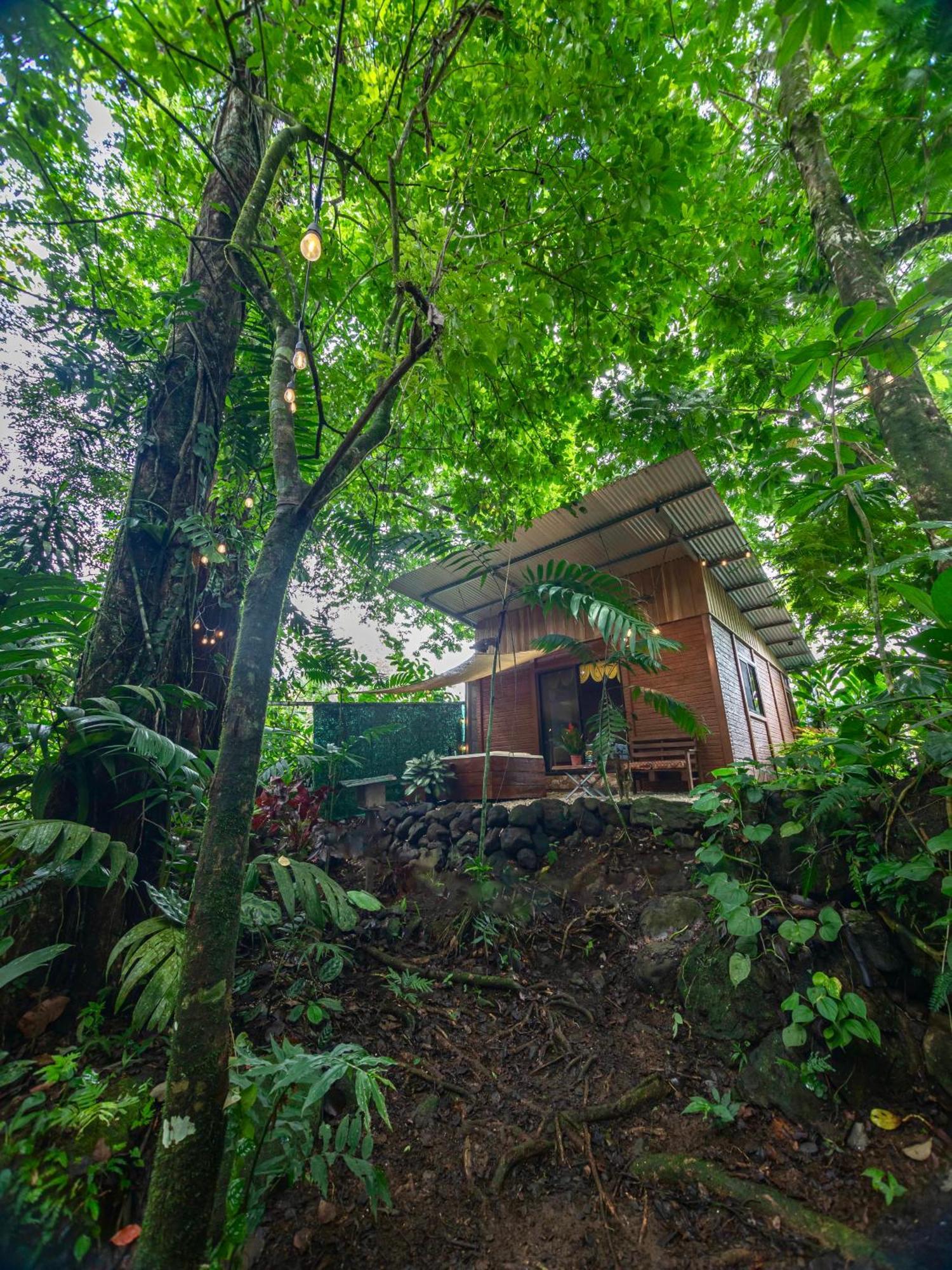 Apartmán The Frog House La Fortuna Exteriér fotografie
